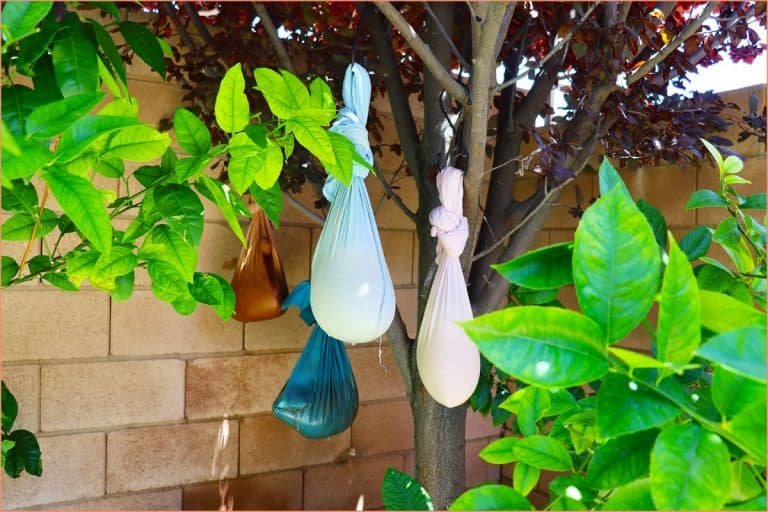 How To Dispose Of Pottery Clay Water 3 Proven Methods Pottery Crafters