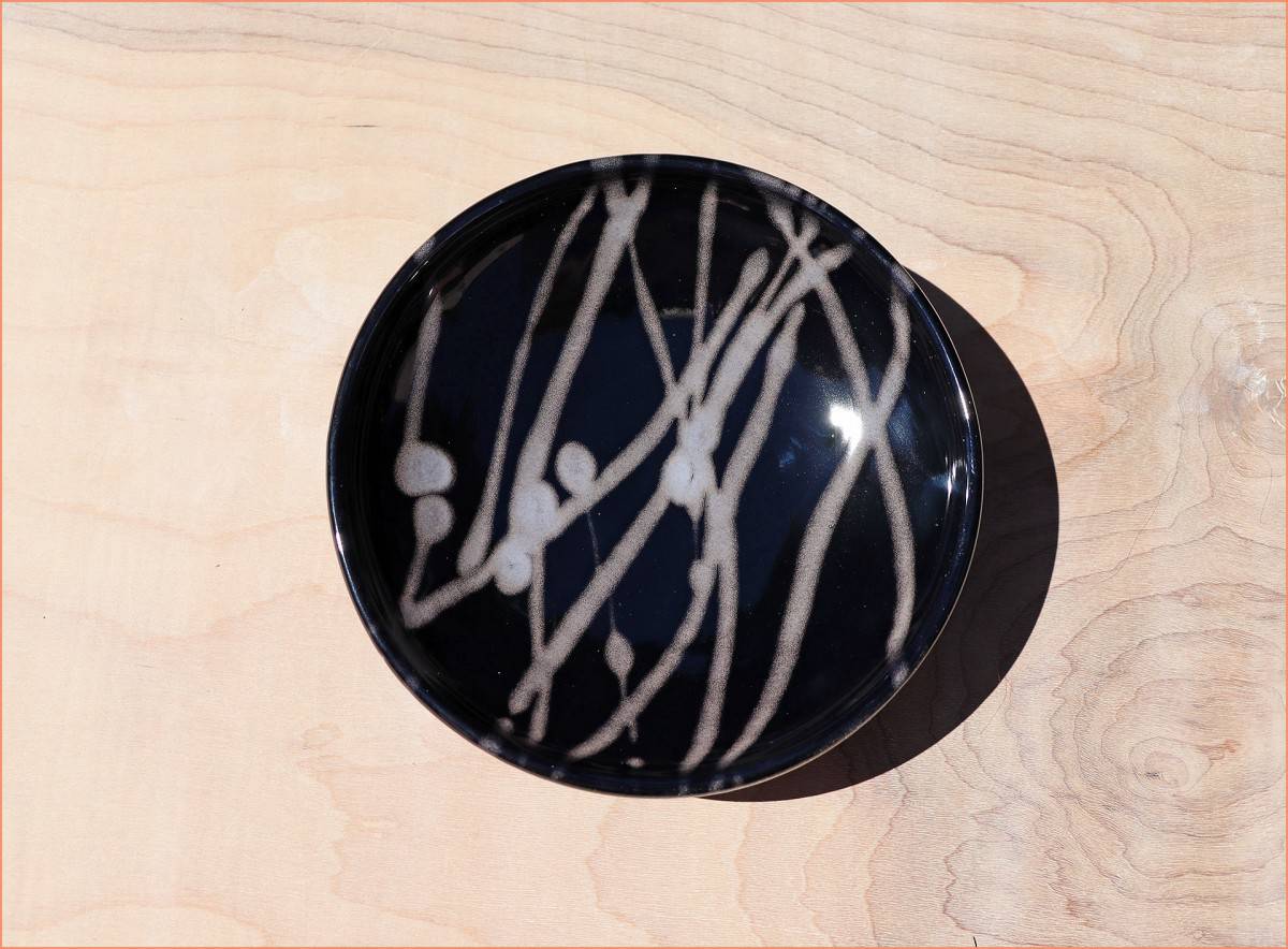 a picture of a finished trail glaze plate with obsidian and arttic blue