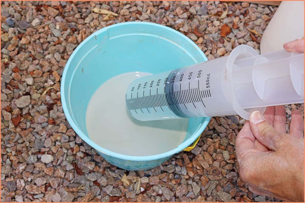 Taking clay water out of bucket