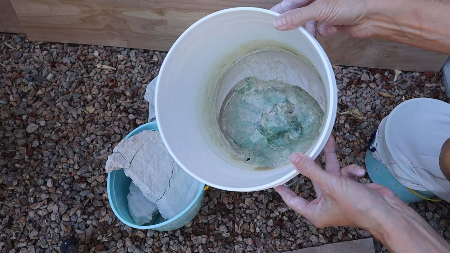 How to Remove Mold from Clay: Best Ways to Save Moldy Pottery Clay Moldy clay in a bucket